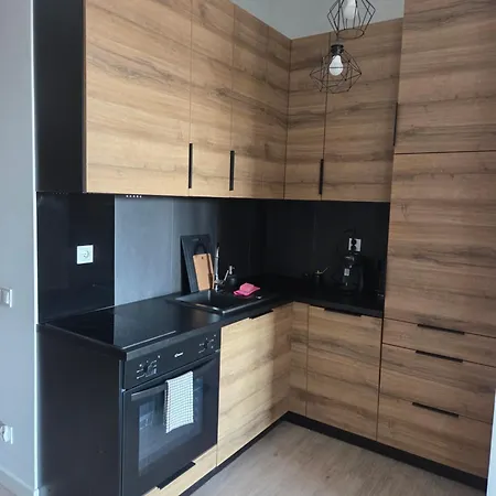 Διαμέρισμα Hanza Tower Luxury *